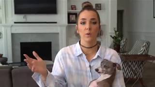 Jenna Marbles Plants Cermet Mr Marbles amp Paesh [upl. by Etnahsa]