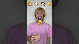 emoji🐶🐱👧🏻👩‍🦰sushininja funny video 241212santanwatermelondogcatemoji [upl. by Ecnarual]