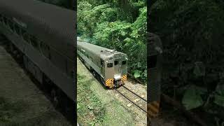 TREM LITORINA SERRA VERDE EXPRESS MORRETES PR [upl. by Swann]