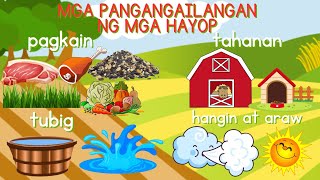 MGA PANGANGAILANGAN NG HAYOP 4th Quarter Week 1 Kindergarten DBOW Cher Daryl [upl. by Klayman]