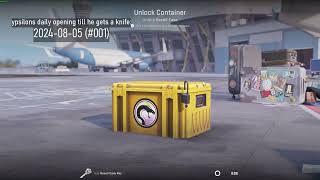 My daily CS2 case unboxing until I get a knife 001 [upl. by Athey]