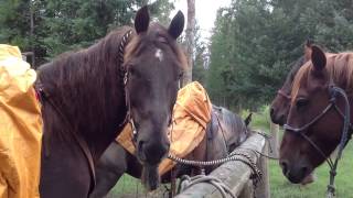 Ranch Academy Yellowstone Nat Park Montana USA [upl. by Yelhs]