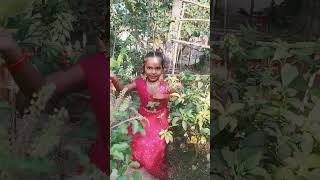 song dance thithi thara thithai thithom thagathimithom WhatsApp song dance ❣️💗💗💗 [upl. by Kassey]