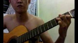 No18 Variations on The Kanon  Fingerstyle Guitar Solo [upl. by Tyika]