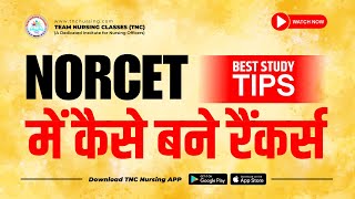 इस startegy से बने NORCET में हजारों Toppers  60 days में कैसे पढ़े NORCET 60 [upl. by Ylloj]