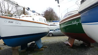 Navigating the Norfolk Broads Waterways A Tale of Boat Adventures Norfolk Broads Forum [upl. by Eesak]