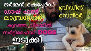 dog farm idukki  Aldrin kennel idukki  best dog farm best​ kennel in kerala  dog breeding farm [upl. by Cassiani]