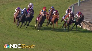 Breeders Cup 2023 The Turf FULL RACE  NBC Sports [upl. by Bodkin]