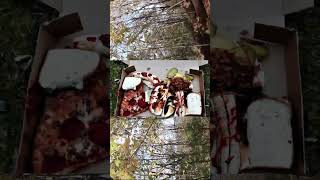 shortsvideo urban streetart trendingshorts HOMELESS IN THE WOODS FEASTING chickenrecipe [upl. by Gabrielli900]