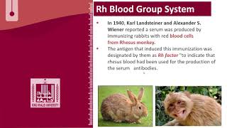 Hematology  4  U1L29  Introduction to Rh [upl. by Hernardo]