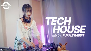 TECH HOUSE 2024 Summer Playlist Mix by DJ Purple Rabbit [upl. by Swartz691]