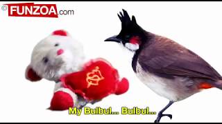 Google google My Bulbul whatsapp status video Funzoa Funny Google Song  Funzoa Funny Videos [upl. by Aynwad]