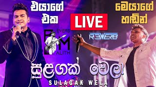 Sulagak Wela  සුලඟක් වෙලා  Sahan Gayantha  REVERB LIVE WEDDING FUNCTION  Bass cover  Live Song [upl. by Okihcim]