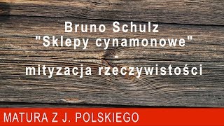 135 Bruno Schulz quotSklepy cynamonowequot  mityzacja rzeczywistości [upl. by Celio314]