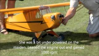 Balsa USA 14 Scale Cub maiden flight [upl. by Cookie]