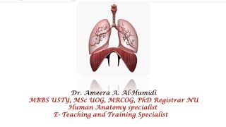 clinical and applied anatomy of mediastinum [upl. by Ylsew]