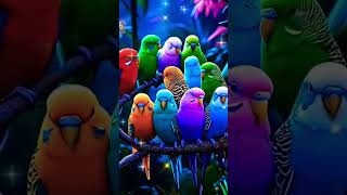 Parrot birds beautiful sound 💖💖💖shorts [upl. by Nossila]