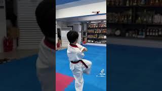 Taekowondo poomsae 5 [upl. by Itteb]