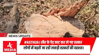 Kathua। खैर के पेड़ काट कर ले गए तस्कर लोगों में बढ़ती जा रही लकड़ी तस्करों की दहशत। [upl. by Ecadnak]