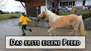 Leas erstes eigenes Pferd 🐴  HAFLINGER Sternschnuppe Ankaufsuntersuchung Folge 1 [upl. by Clarabelle]