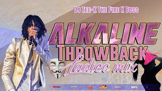 Alkaline Mix  Alkaline Throw Back Ladies Dancehall Mix 2023  100 Alkaline Female Songs [upl. by Vada]