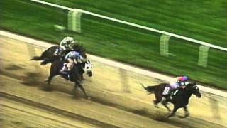 TVG Breeders Cup Moment  Cigar [upl. by Santana]