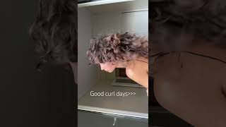 Ανεβασα curly hair routine…just saying [upl. by Hasin576]