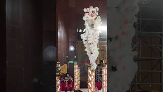 CHAMPIONS  Yi Wei Team B  Lion Dance [upl. by Hessney]