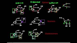 Carbohydrate Stereochemistry Epimers and Anomers [upl. by Emirac123]