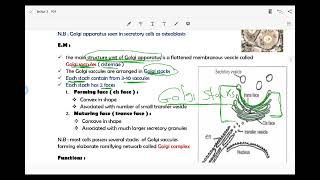 lecture 3 Golgi apparatus  lysosome  peroxisome [upl. by Amsab]