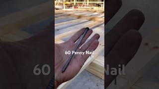 Driving big nails sledge vs framing hammer shorts construction woodworking [upl. by Mulloy]