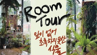 Room Tour잎 없이 사는 식물이 있다고 뿌리가 새로 자랄 때 뿌리가 어떻게 생겼는지 궁금하죠 [upl. by Valiant572]