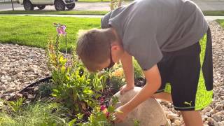 Son sees red flowers and purple dress for the firs [upl. by Duester741]