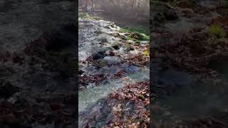 Pretty stream at Maramec Springs [upl. by Cromwell]