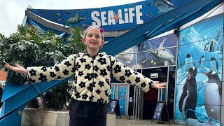 National SEA LIFE Centre Birmingham 4th February 2024 Vlog [upl. by Wildermuth]