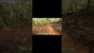 Pemberton mtb bikepark  Bloody Mary trail track black  WA australia  Karri Valley trip [upl. by Attaynek]