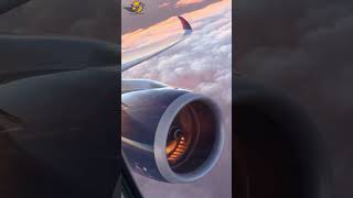 RealTime Airplane Status Where Are They Now ✈️🌍  aviation shorts short viralvideo pilot [upl. by Helas]