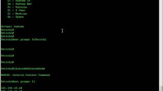 GarrettCom Modifying the command prompt [upl. by Aerdnwahs]