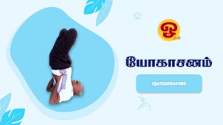 யோகாசனம்  பத்மசர்வாங்காசனம்  27102024 [upl. by Aneem]