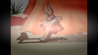 Wile E Coyote and The Road Runner episode 110 [upl. by Ardella]