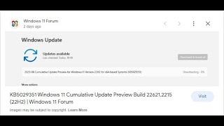 2023 08 Cumulative Update Preview for Windows 11 Version 22H2 for x64 based Systems KB5029351 [upl. by Enelrahc137]