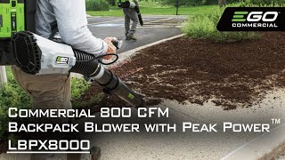 EGO Commercial 800 CFM Backpack Blower with Peak Power™  Features  LBPX8000 [upl. by Aurita]