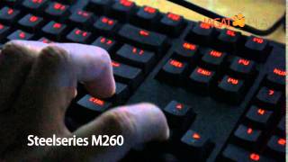 Steelseries M260 [upl. by Dorweiler]