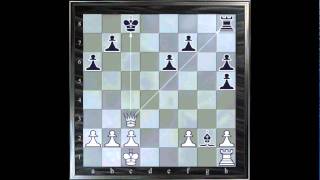 ChessMaster GME Waitzkin J Vs Serper G [upl. by Damali223]