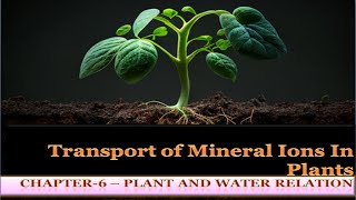 Transport of Mineral ions In plants  Chapter 6 Plant and Water Relation State Board NEET [upl. by Schroder734]