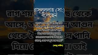 রাগ শয়তানের কাছ থেকে আসেrag soytaner kach theke ashe [upl. by Yrennalf394]