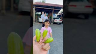 Funny fruits🥴🤣phanetfamily shortvideo comedyvideos fruit shorts [upl. by Nedah128]