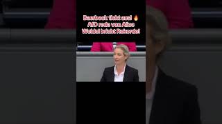 Baerbock tickt aus AFD rede von Alice Weidel bricht Recorde [upl. by Budge]