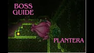 EASY way to beat PLANTERA in Terraria [upl. by Roselia]