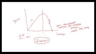 Combined science biology paper 4 final revision lesson 11 S21 exams [upl. by Maren77]